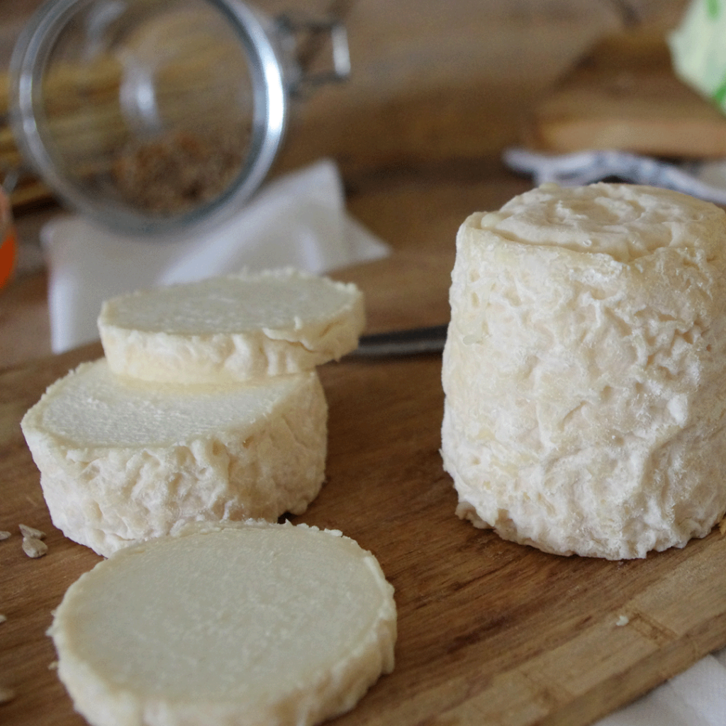 Le Chabichou du Poitou, fromage de chèvre AOP incontournable des Deux-Sèvres