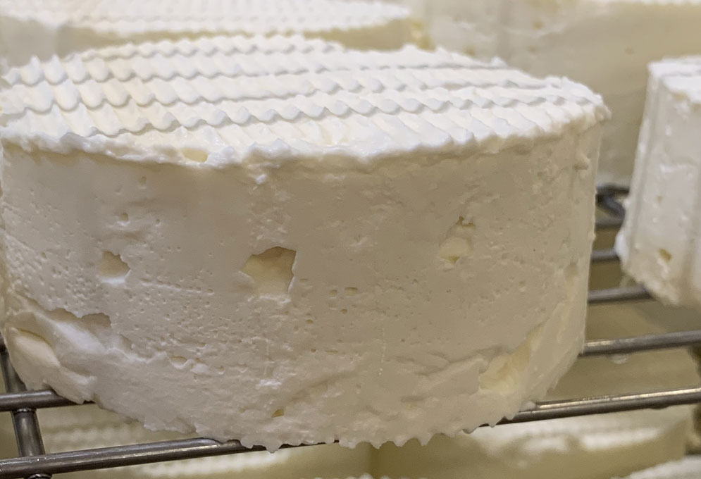 Nos ateliers – Découvrez le Brillat-Savarin IGP