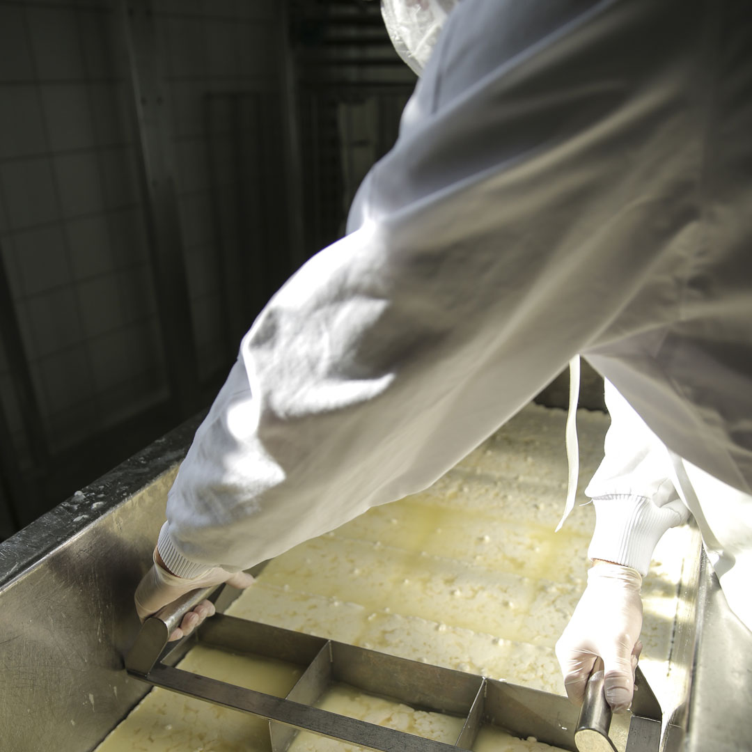 Notre atelier de Machecoul est notre toute première unité de production. Elle produit pour Beillevaire des fromages comme le Machecoulais, ou le Pont d'Yeu. 
